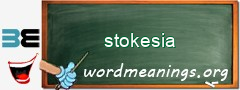 WordMeaning blackboard for stokesia